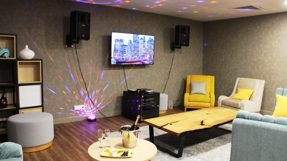 Профессиональное караоке для дома