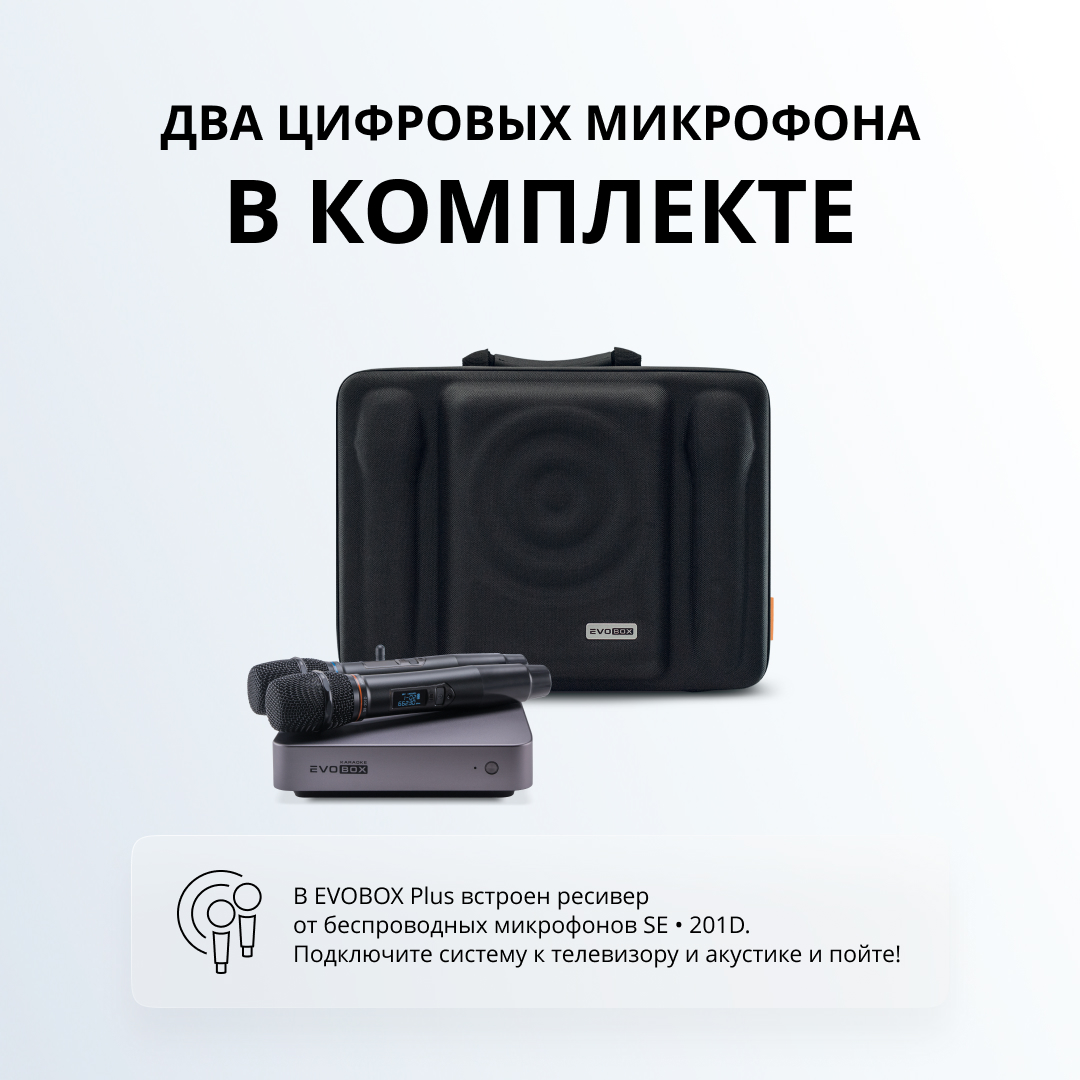2 микрофона в комплекте