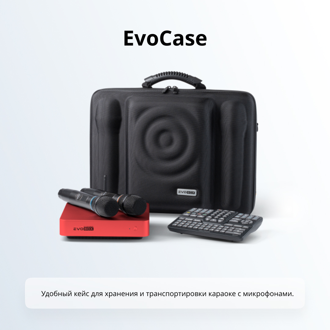 EVOBOX Plus продается в 2-х вариантах с подпиской на год вперед и без.