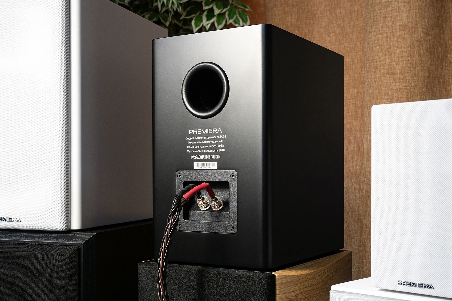 Premiera MS‑5 «Studio 5»