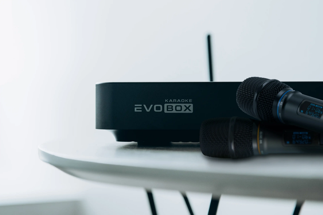 EvoBox Plus Графит - караоке база более 48 000 песен, 2 микрофона и чехол для переноски.