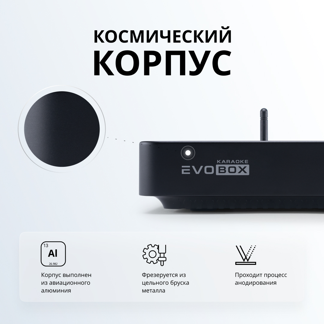 Караоке-система для дома EVOBOX Plus с микрофонами и кейсом