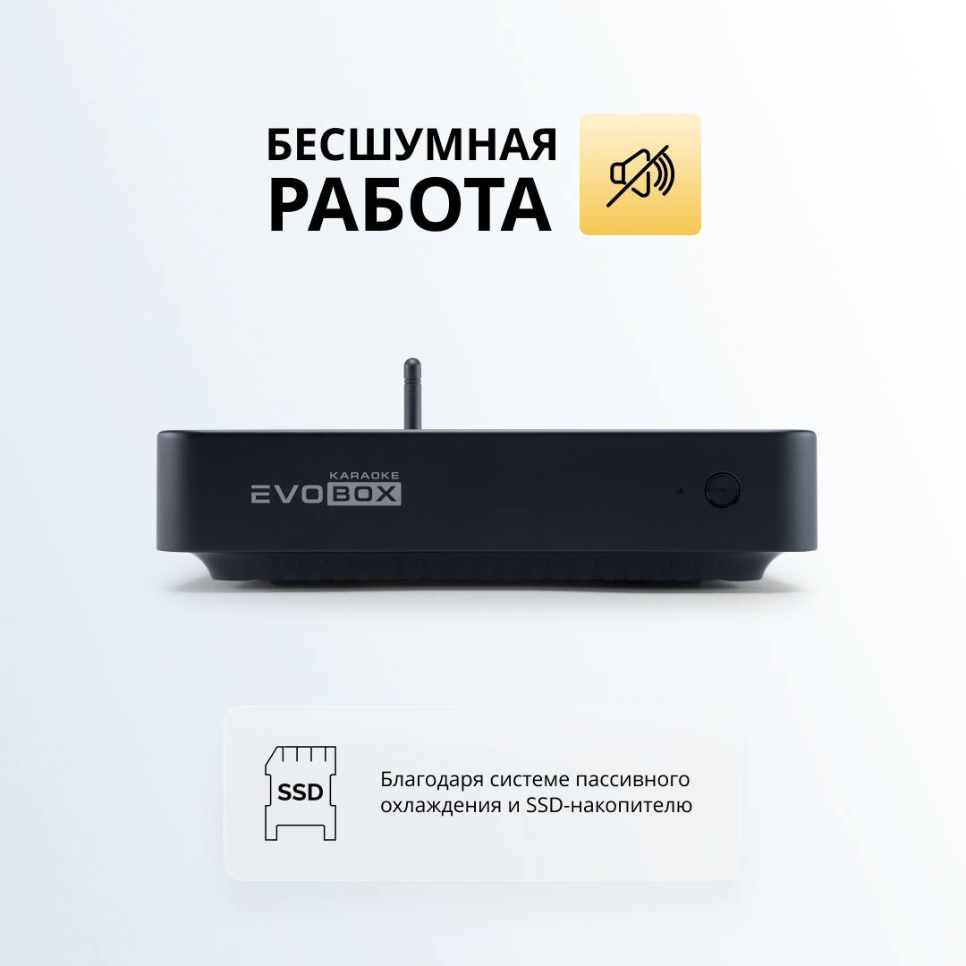 EvoBox Plus Old - караоке (версия без микрофонов и кейса)