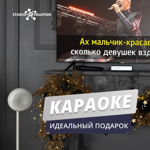 Новый год с караоке